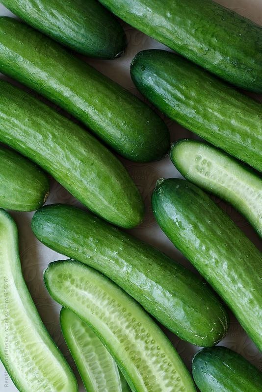 Cucumber