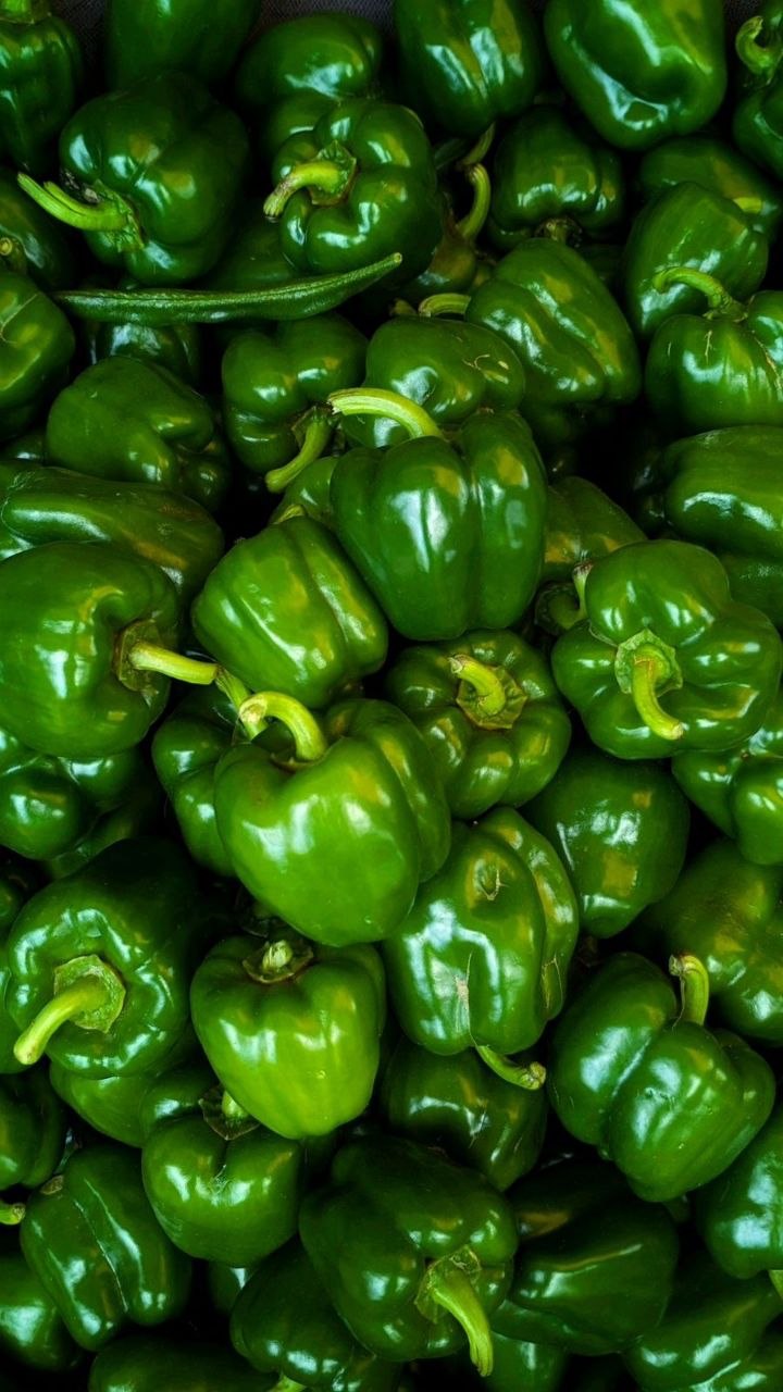 Capsicum