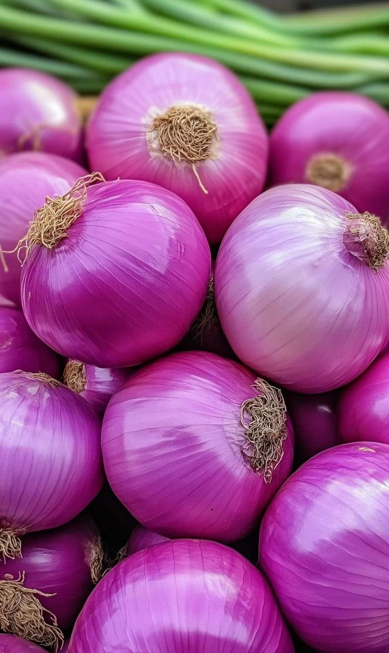 Onion